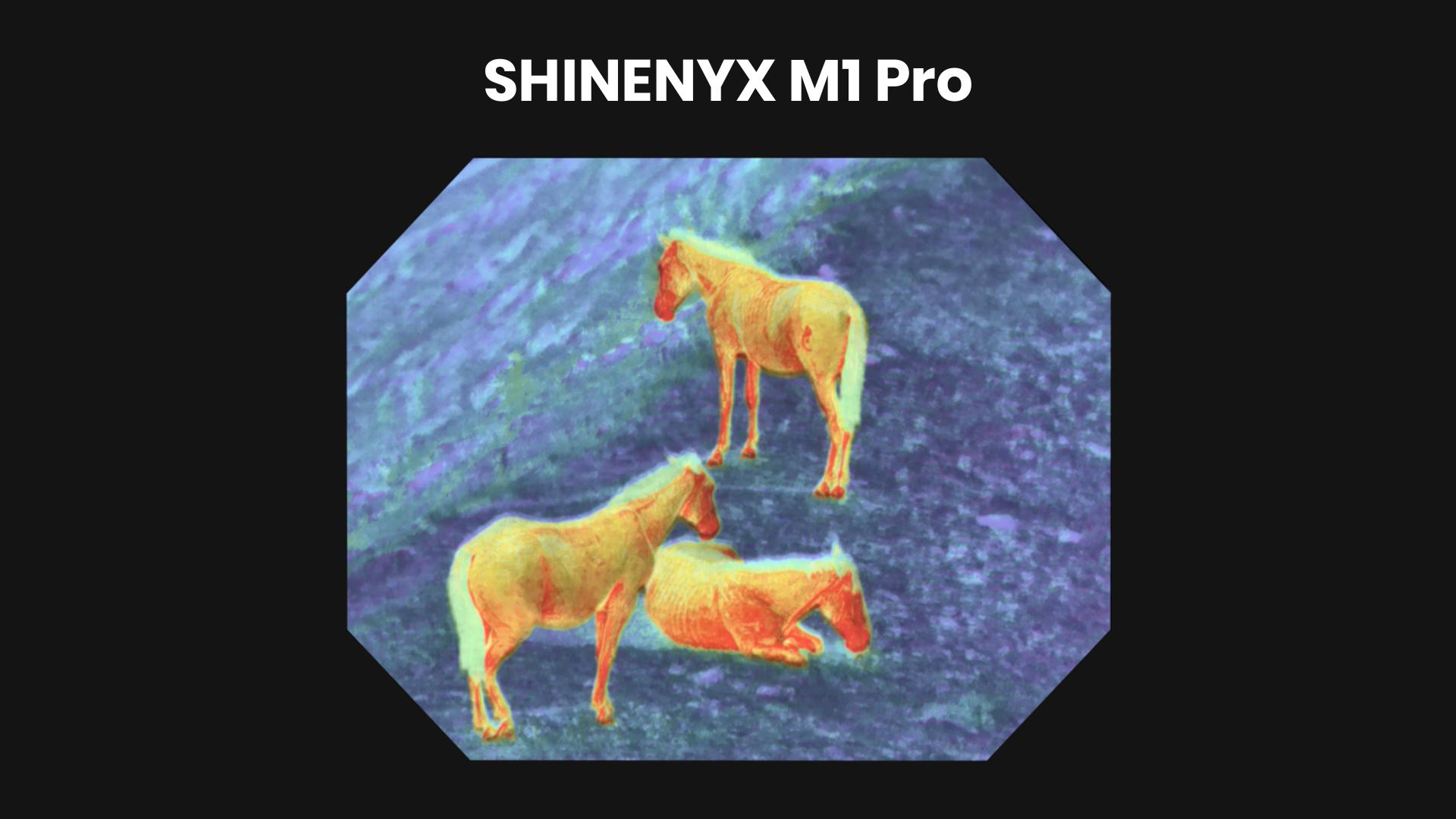 幻灯片 198